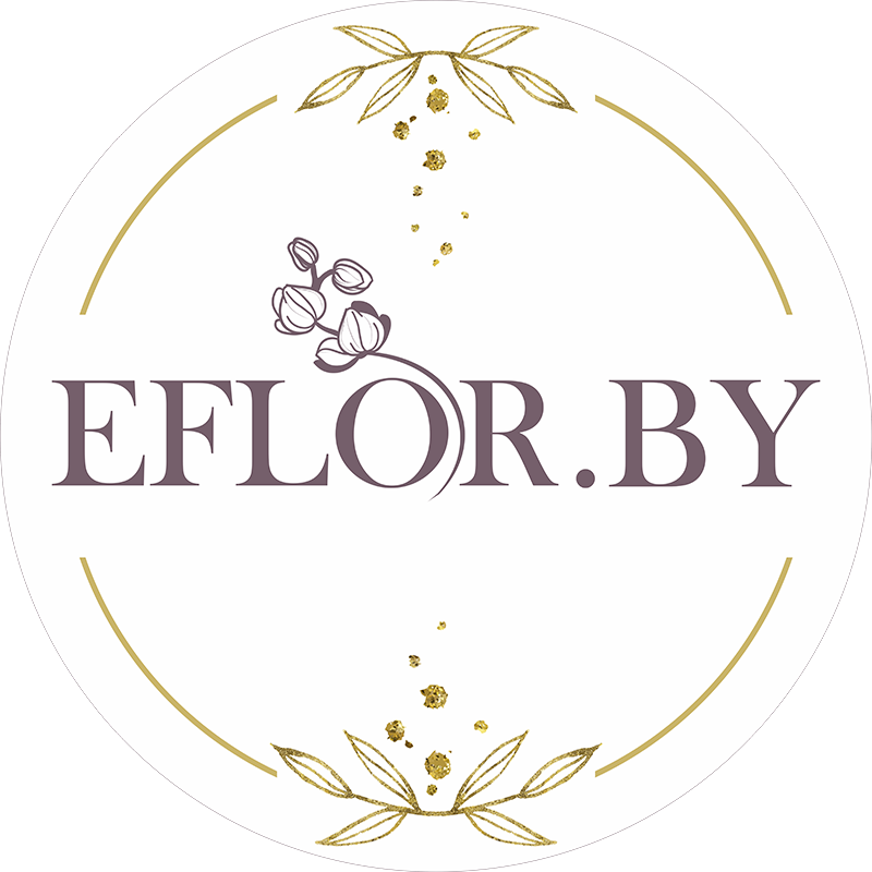 Eflor.by